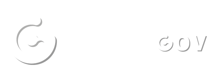 Digital_Gov